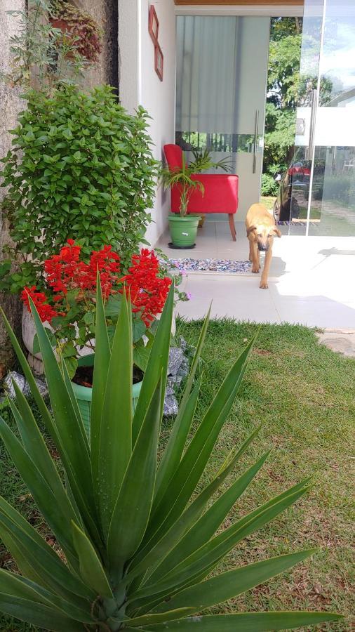 Alto Paraíso de Goiás Casal Ostara Begonia酒店 外观 照片